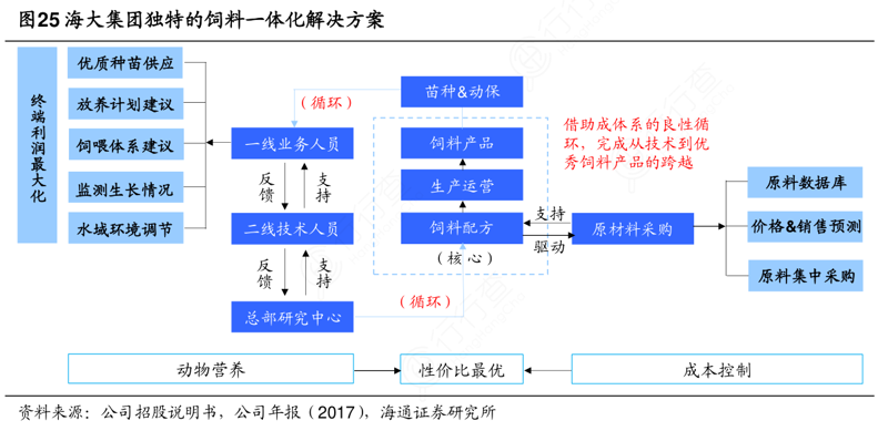 公司注册新趋势:简化流程与智能服务引领未来
